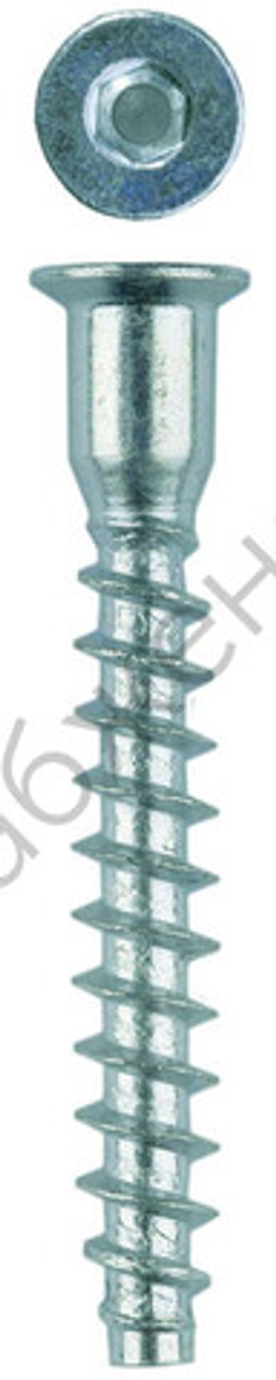 ЗУБР 7 x 50 мм, винт-конфирмат, цинк, 2000 шт (4-308050-70-050)