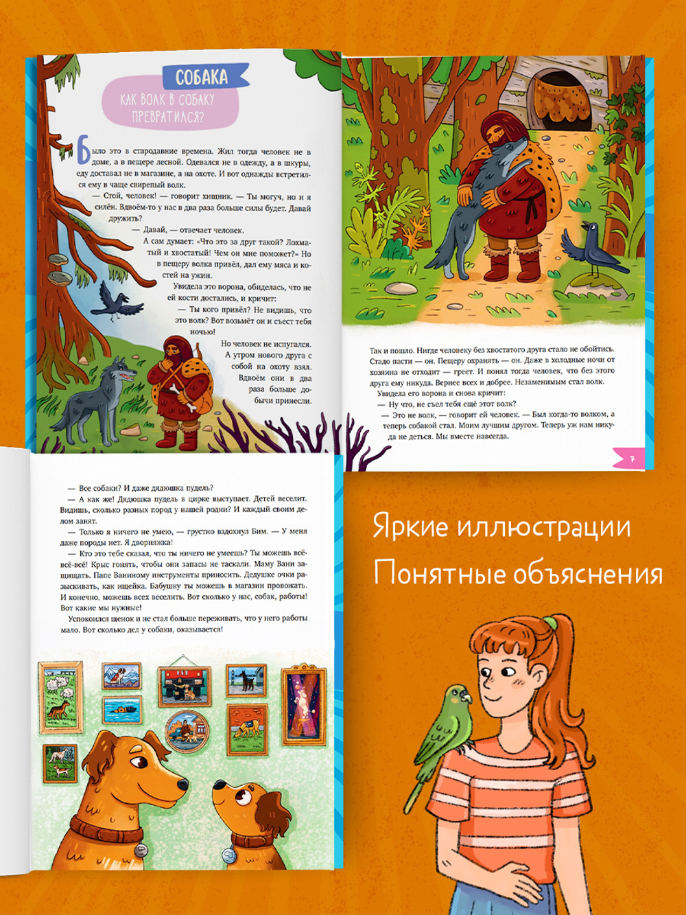 Подарок для почемучки. Домашние животные