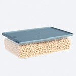 Лоток прозрачный с крышкой, цвет серый 3350 мл