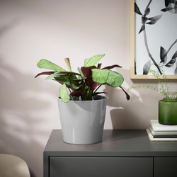 IKEA SKOGSVINBÄR  (ИКЕА СКОГСВИНБÄР)  -  Крышка для цветочного горшка, серая, 15 см