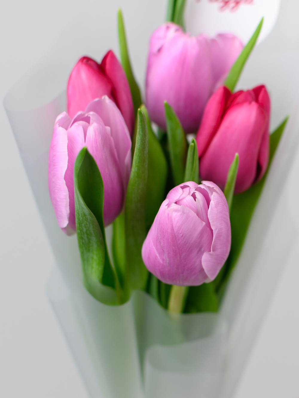 Тюльпаны микс