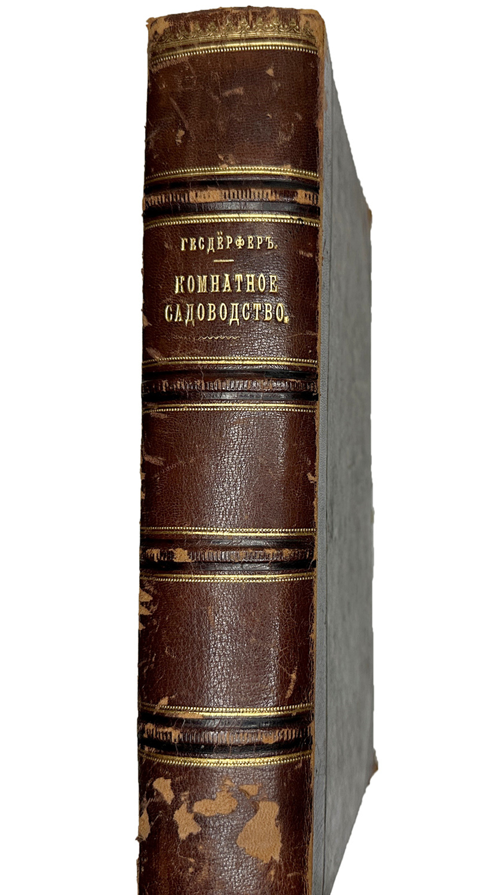 Гесдерфер М. Комнатное садоводство. СПб. Изд. Девриена, 1898г.