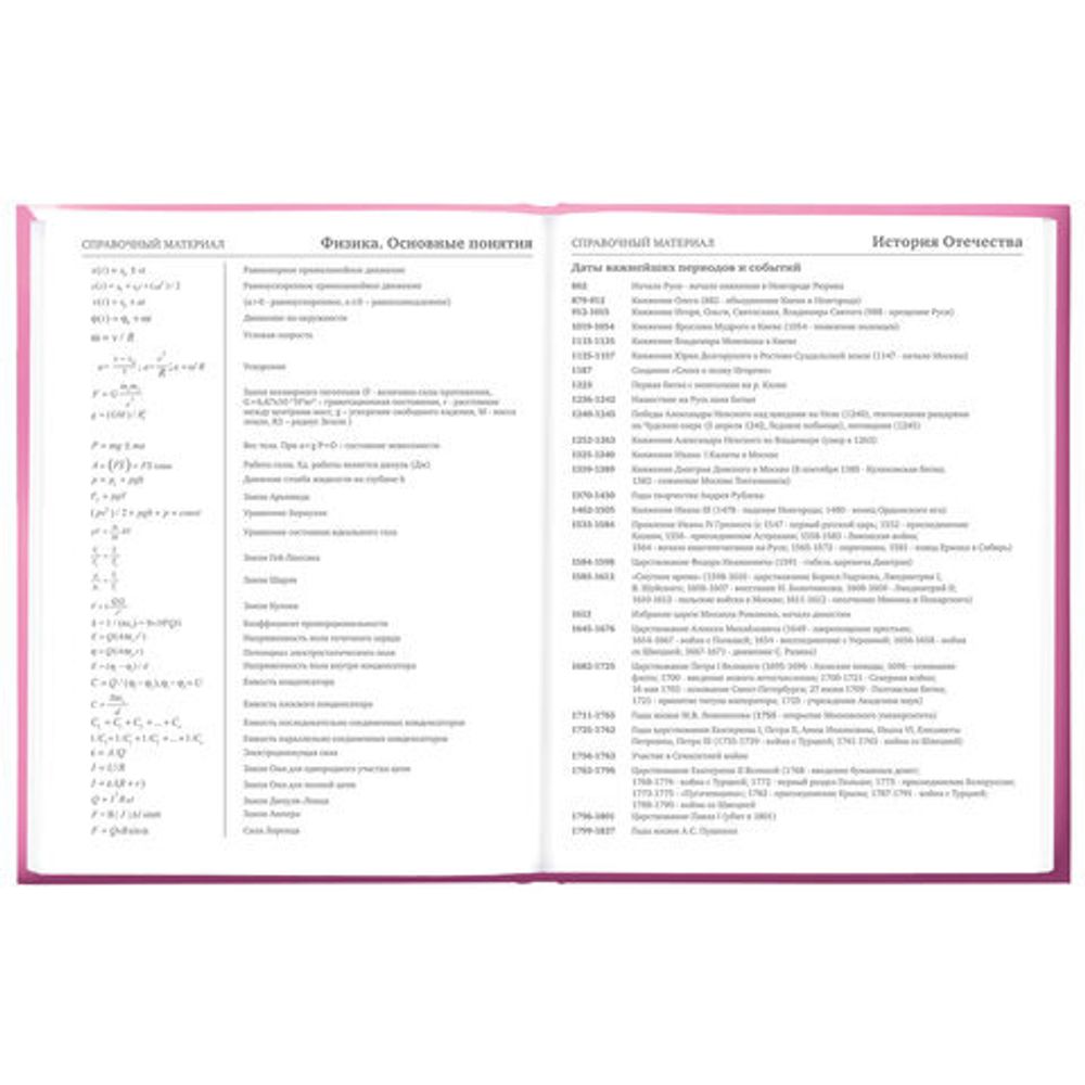 Дневник 5-11 класс 48 л., твердый, BRAUBERG, выборочный лак, с подсказом, "Brings Joy", 107194