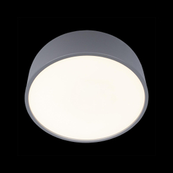 10201/350 Grey Потолочный светильник LOFT IT Axel