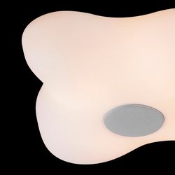 Потолочный светильник EOS 5874