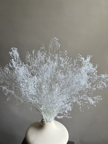 Брум выбеленный