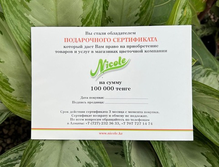 Подарочный сертификат на 100 000 тг