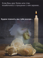 Гроб для грызуна, для хомяка