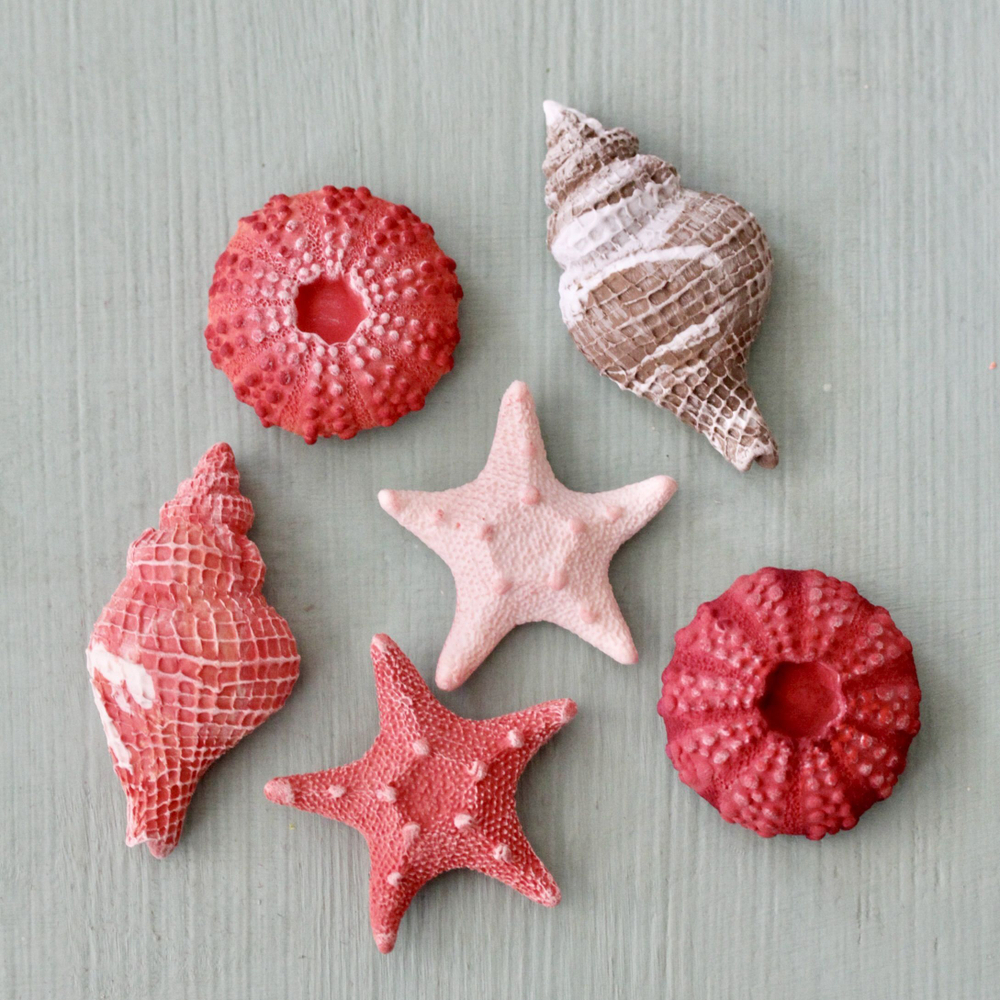 Молды силиконовые для творчества "Набор 3 молда: ракушка, морской ёж, морская звезда"/ форма для полимерной глины, мыла, воска, гипса и эпоксидной смолы