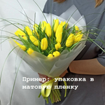 Тюльпаны