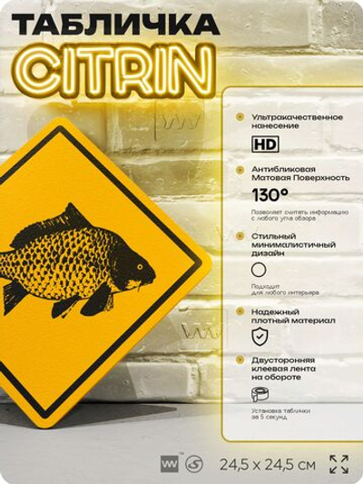 Табличка декоративная "Карась" на дверь и стену, информационная и предупреждающая, декоративный знак, 24,5х24,5 см, пластиковая, Айдентика Технолоджи