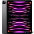 Apple iPad Pro 12,9-inch M2 2022 2Tb Wi-Fi Space Gray MNXY3