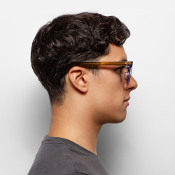 Очки солнцезащитные WHITELAB Coin Violet Brown/Grey