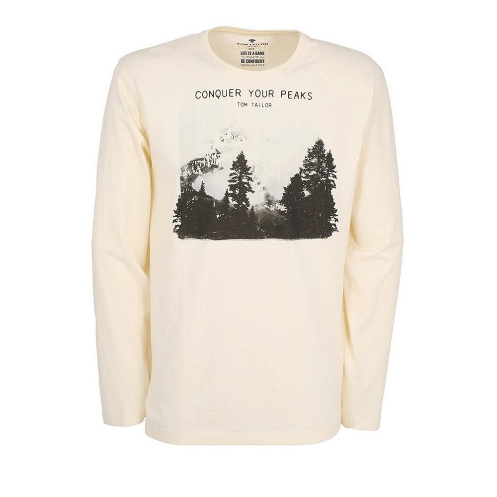 Мужская фуфайка бежевая с принтом Tom Tailor 70931/5609 131