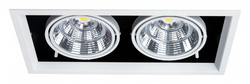 Встраиваемый светильник Arte Lamp A8450PL-2WH