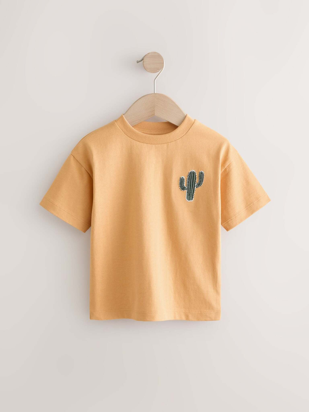 Футболка для мальчика Next E63-183, 5 шт., Песочный, Красный, Синий