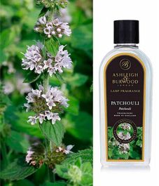 Аромат для ламп Пачули, Ashleigh & Burwood