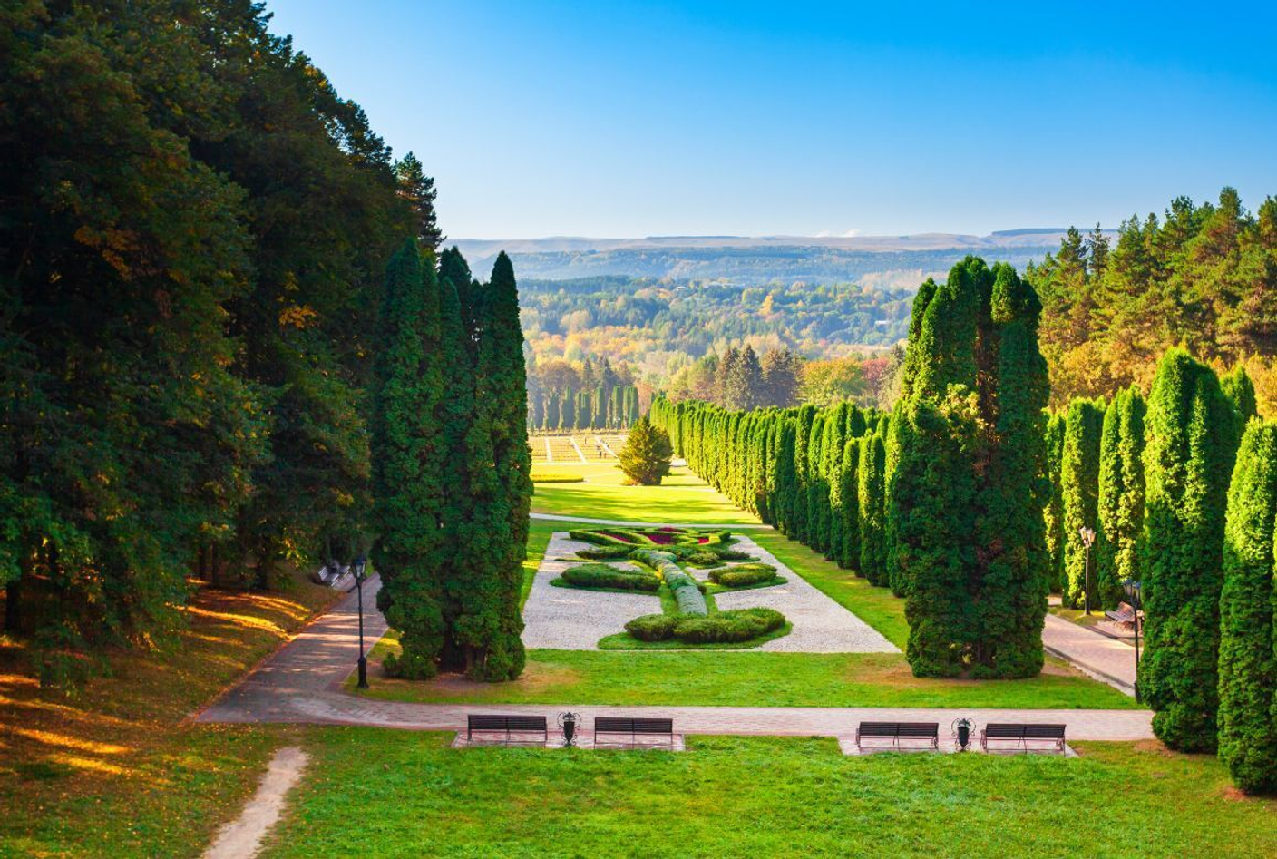 Летняя школа Клиники Калинченко "Детокс и Гормезис"