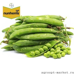 Бастион семена гороха (Nunhems / Нюнемс)