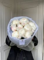 Букет 9шт белых пионов