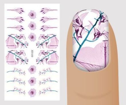Слайдер-дизайн Цветы-рентген XR109