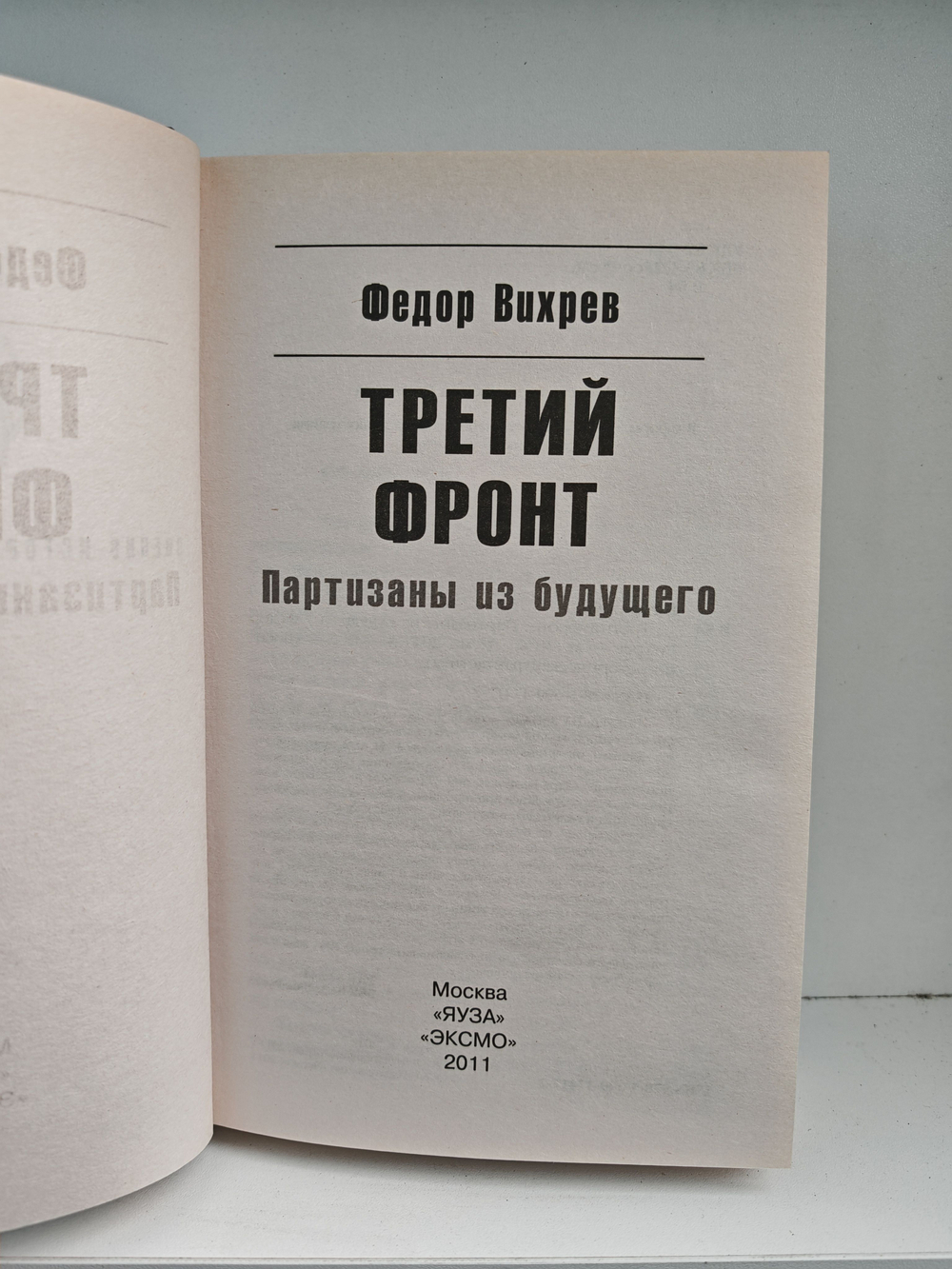 Третий фронт. Партизаны из будущего