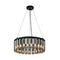 Подвесная люстра Favourite Slang 4504-25P