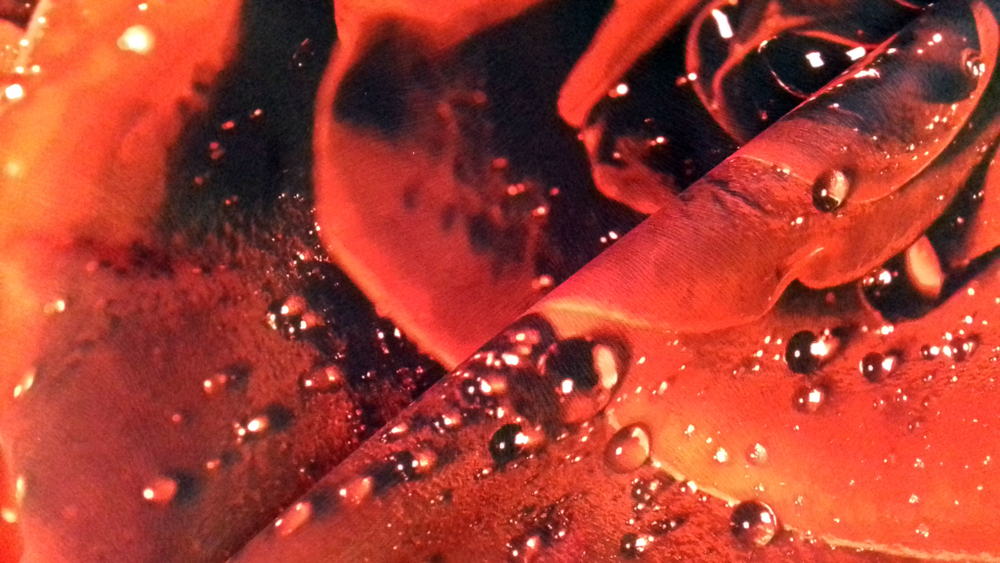 Микровелюр Xpoint (Икспоинт) 0043.01 Роза