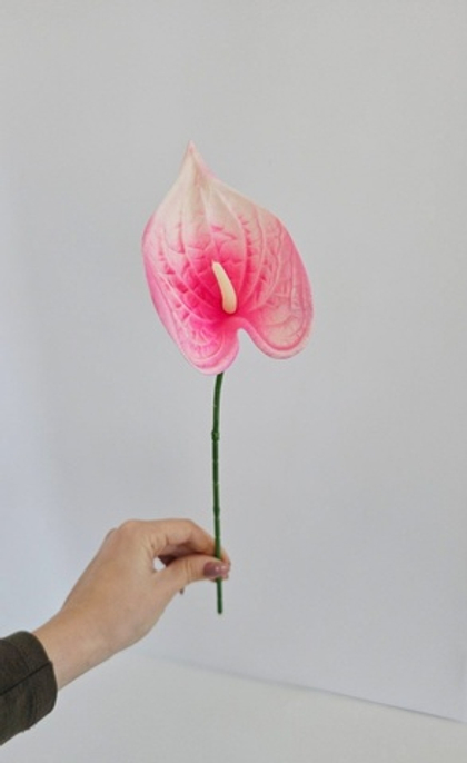 Антуриум одиночный мини / 2002