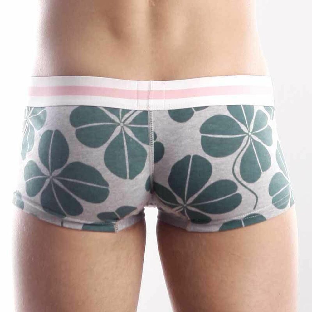 Мужские трусы хипсы зеленые TOOT TT00014