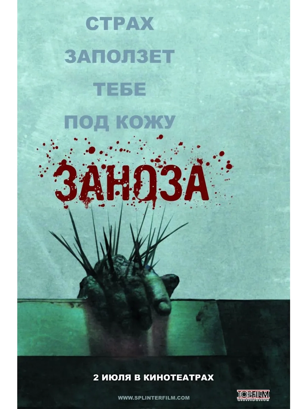 Заноза (2008) (DVD-R)