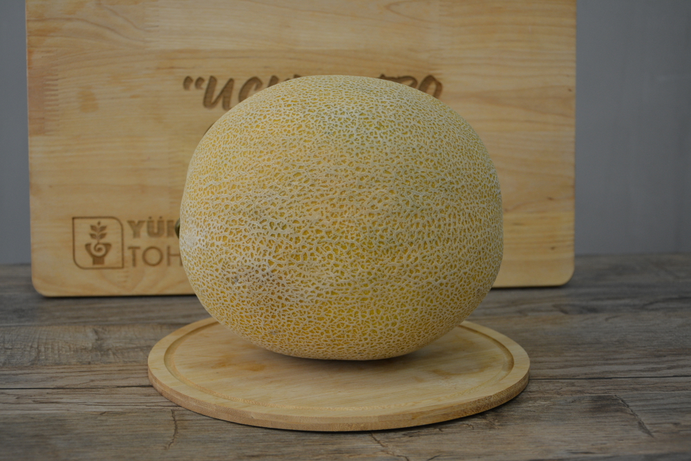 Гюльхан F1 семена дыни ( Yuksel Tohum / )