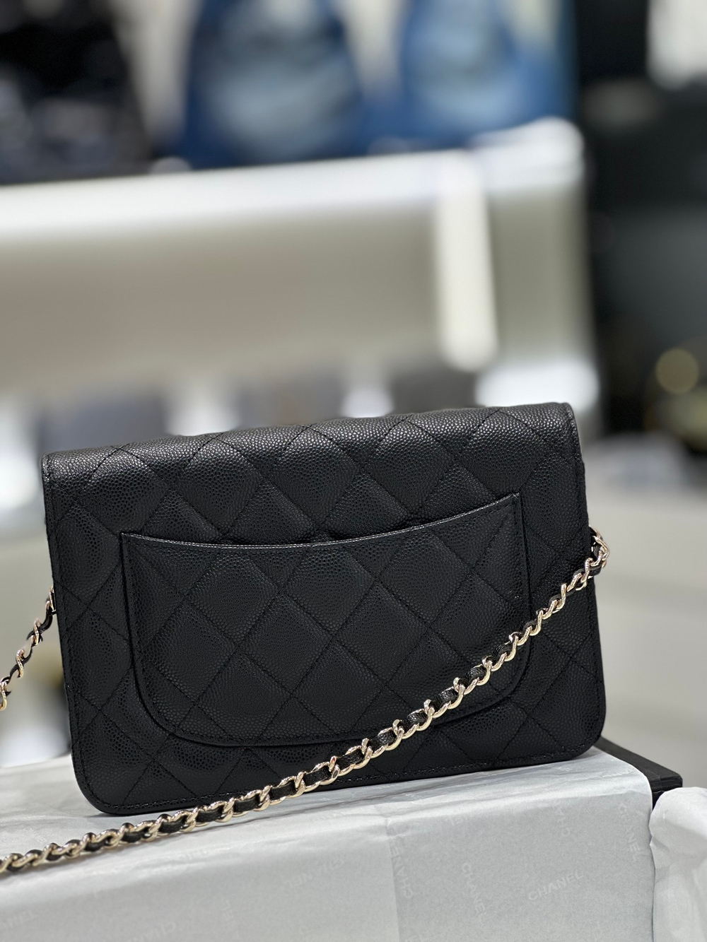 Chane1 WOC 19 cm