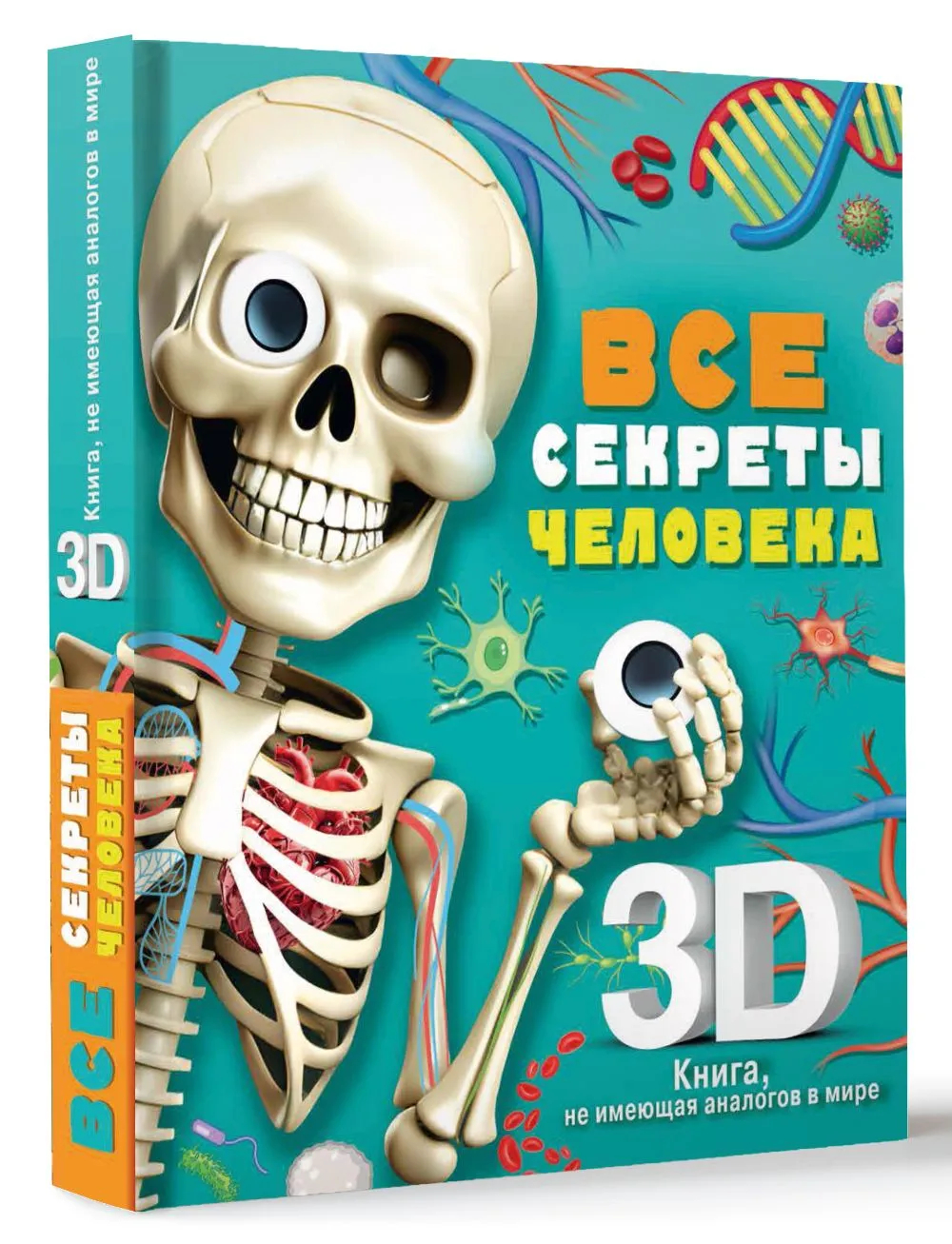 Все секреты человека