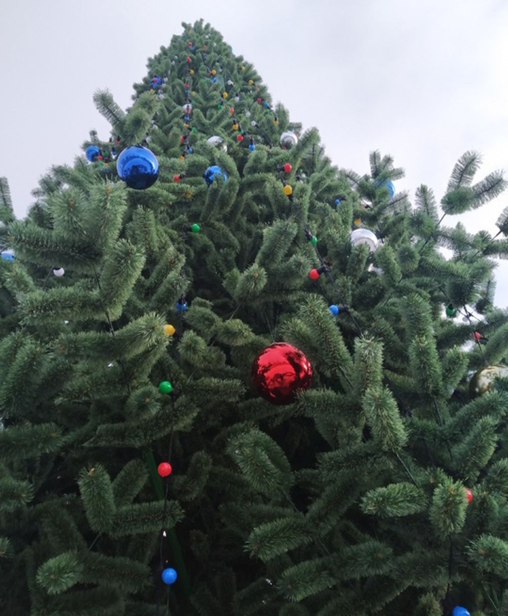 Уличная елка ствольная "Альпийская сосна" (леска) от 3 до 22 м