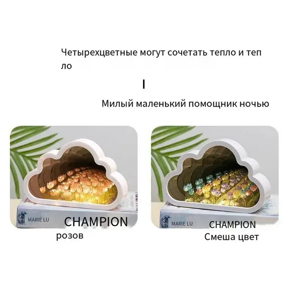 Ночник, H2