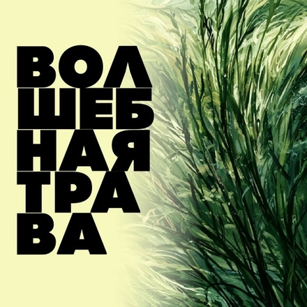 Волшебная трава