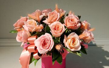 Композиции