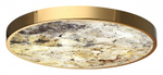 Накладной светильник Odeon Light Bergi 5079/50L