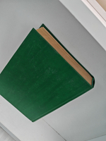 Троцкий в изгнании