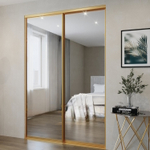 Дверь-купе ARISTO AVERS, зеркало, профиль золото матовое