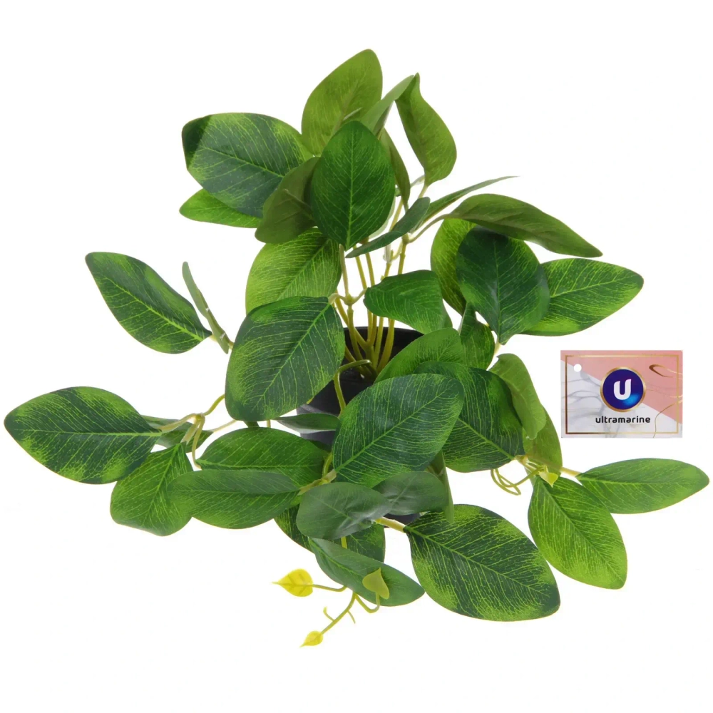 Цветок искусственный в горшке «Хойя» 20см