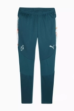 Штаны Puma Neymar Jr Creativity Training