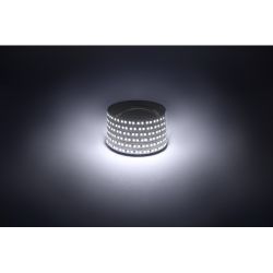 Светодиодная лента ЭРА LS2835 -14,4-180-12-6500K-IP20-1 year-5m холодный белый 5м | Светодиодные ленты 12В 1 год