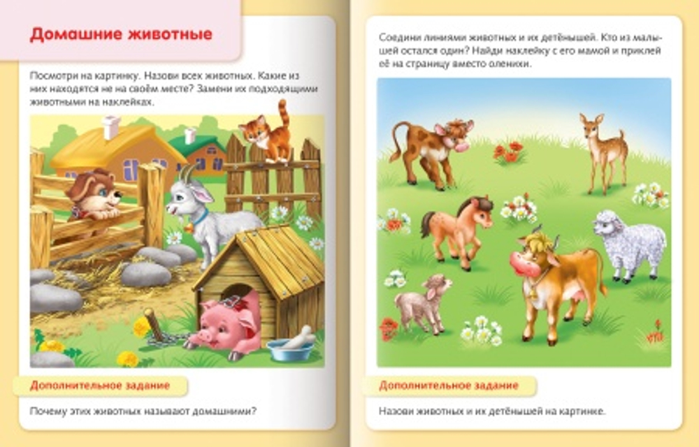 ywnywfngwrtr4sn40r1s9aompk51nojp