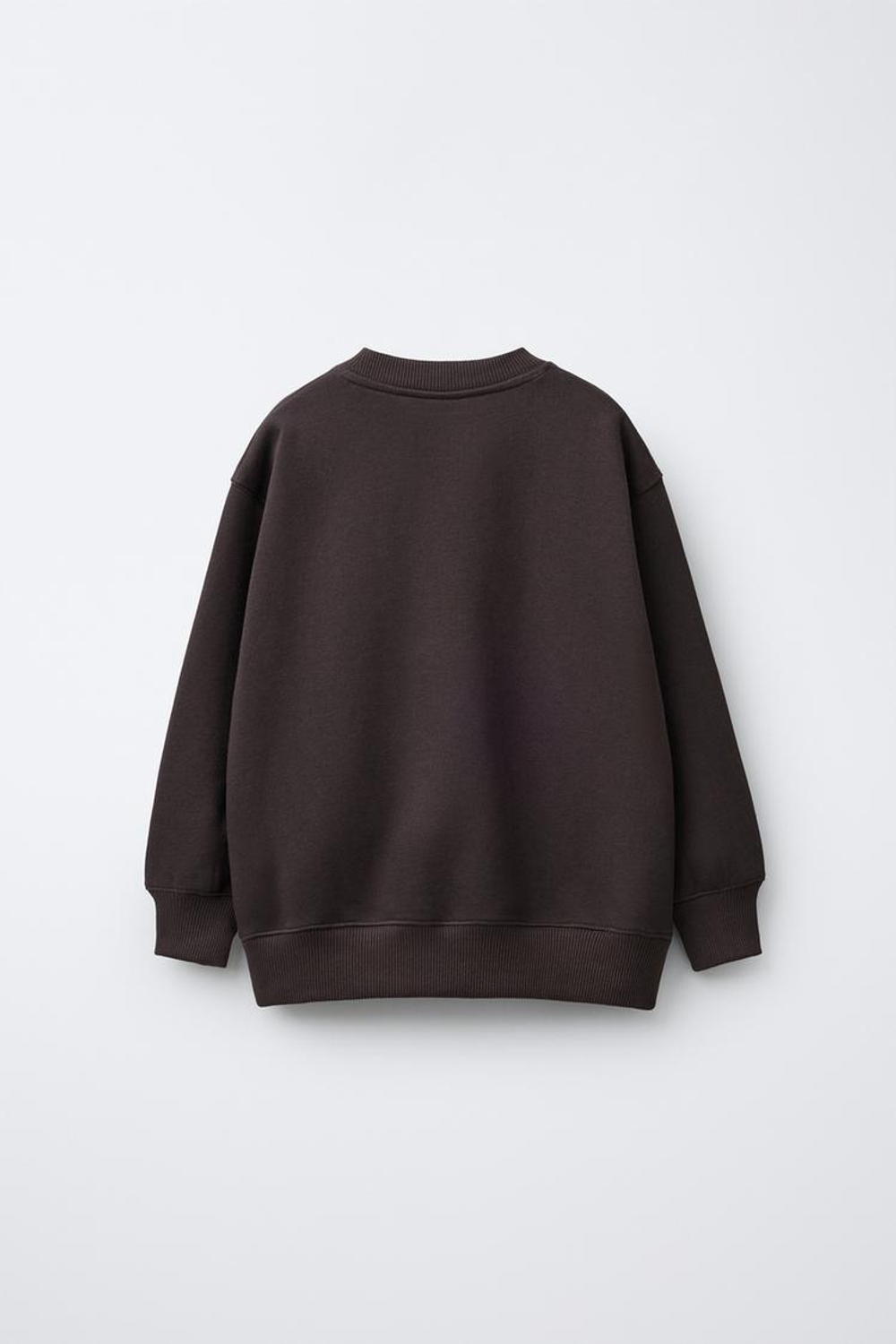 ZARA ТОЛСТОВКА С ВИШНЯМИ С РЕЛЬЕФНЫМ ПРИНТОМ CAPIBARA CAPYFUN ©, КОРИЧНЕВЫЙ