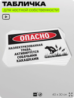 Табличка прикольная для частной территории "Опасно, наэлектризованная трава активируется собачьими какашками", на дом, 40х30 см, Silver Plane x Айдентика Технолоджи