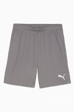 Шорты Puma teamGOAL - серый