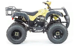 Квадроцикл MOTOLAND 250 ADVENTURE (2021 Г.)
