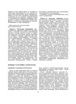 Жизнь растений. В 6-ти томах. Том 6: Цветковые растения | А.Л. Тахтаджян